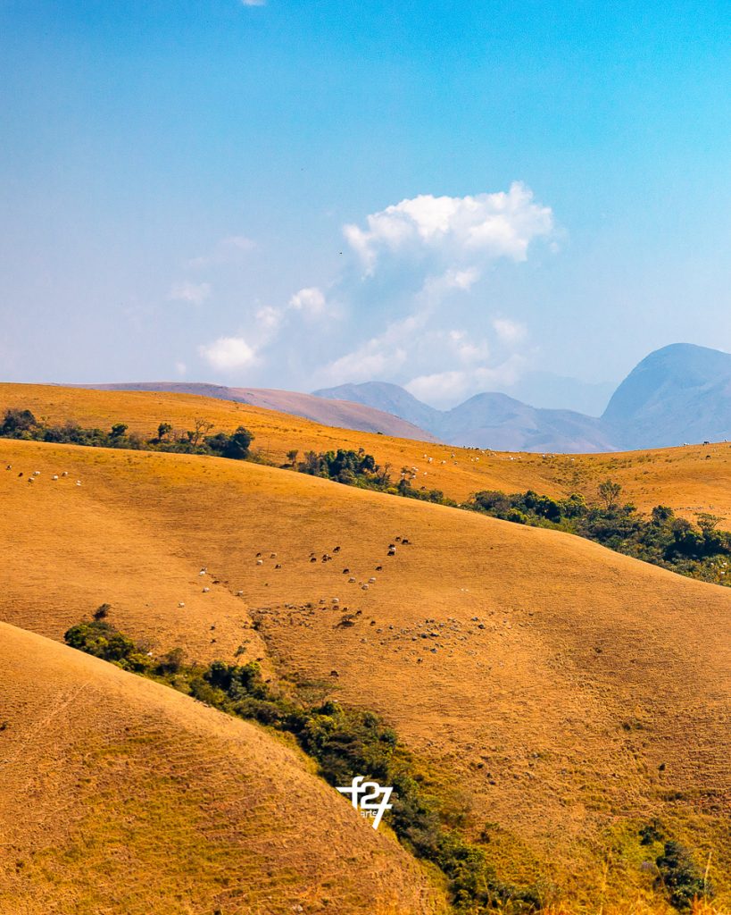 Obudu – Rolling Hills